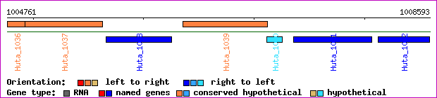 gene map