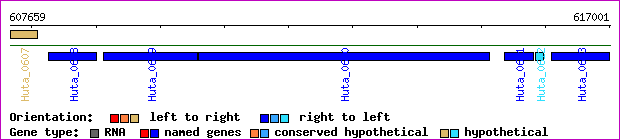 gene map