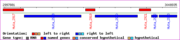 gene map