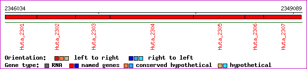 gene map