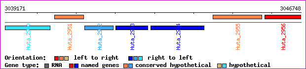 gene map