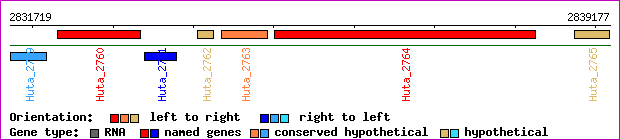 gene map