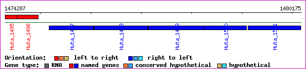 gene map