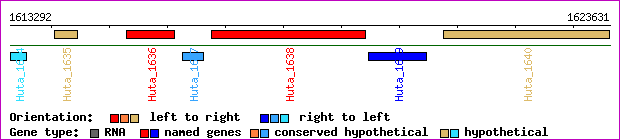 gene map