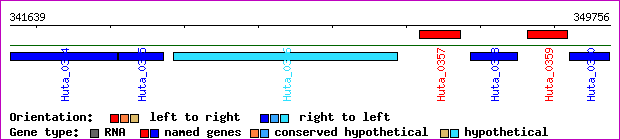 gene map