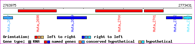 gene map