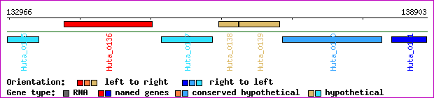 gene map