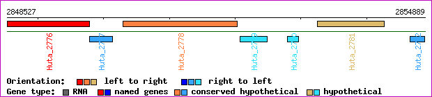 gene map