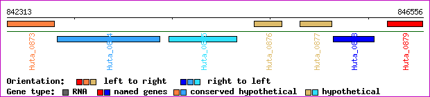 gene map