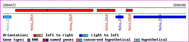 gene map