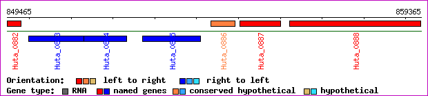 gene map