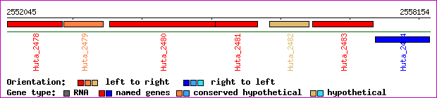 gene map
