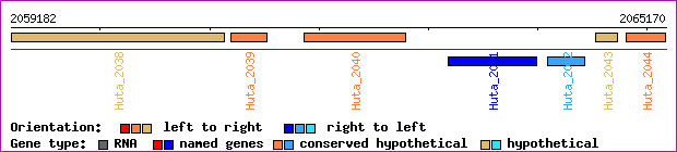 gene map