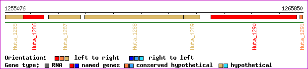 gene map