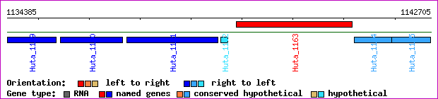 gene map