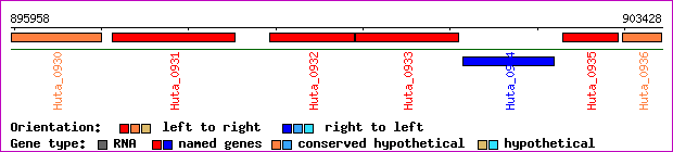 gene map
