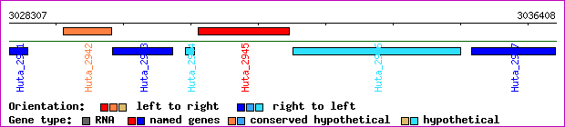 gene map