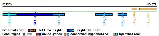 gene map