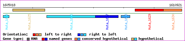 gene map