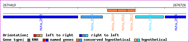 gene map