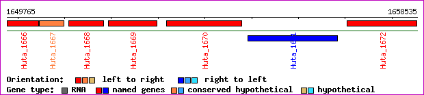 gene map