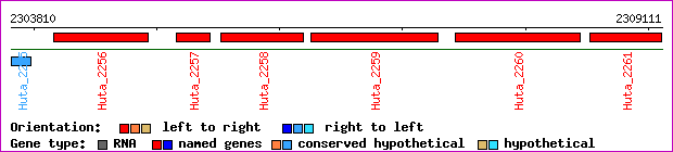 gene map