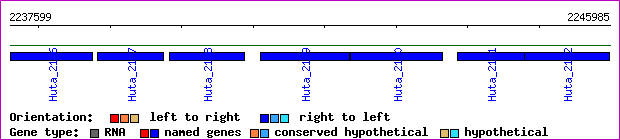 gene map