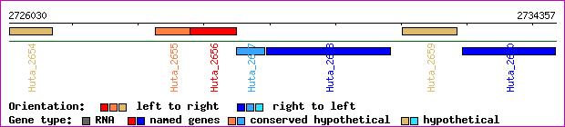 gene map
