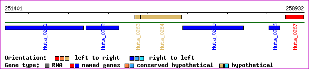 gene map