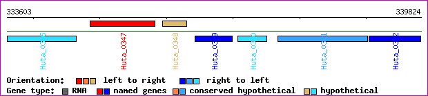gene map