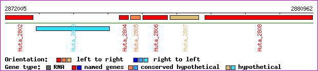 gene map