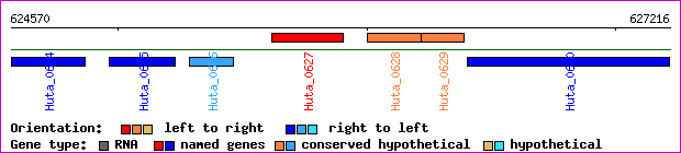 gene map