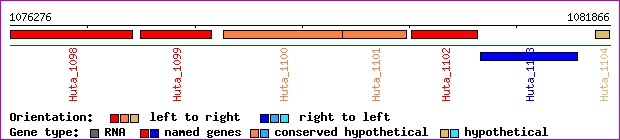 gene map