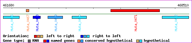 gene map