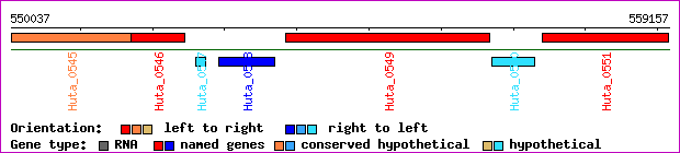 gene map