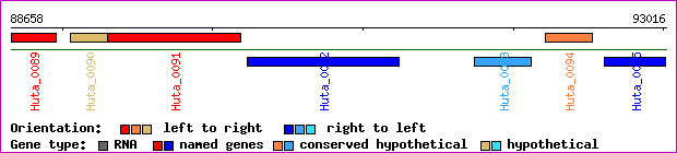 gene map