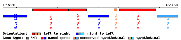 gene map