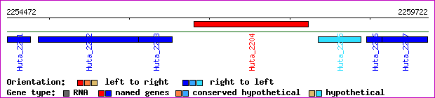 gene map