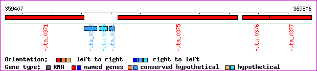 gene map