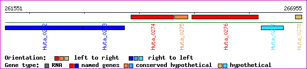 gene map