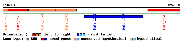 gene map