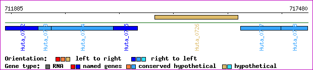 gene map