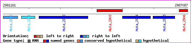 gene map