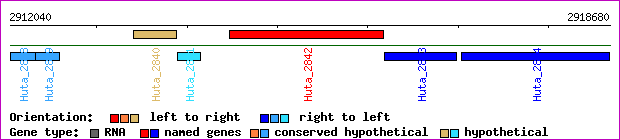 gene map