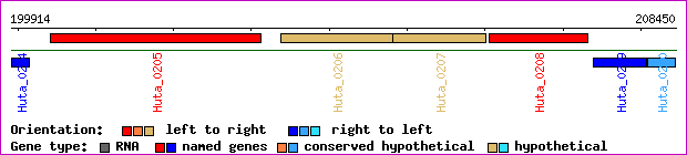 gene map