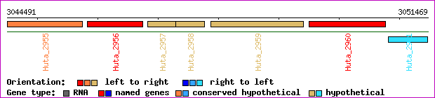 gene map