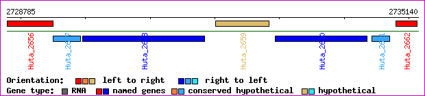 gene map