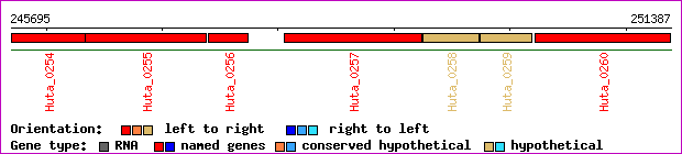 gene map