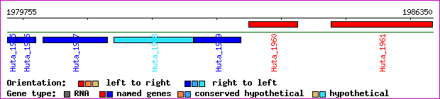 gene map