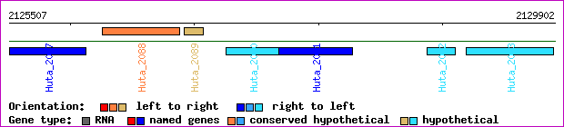gene map
